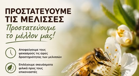 Δήμος Νάξου: Η προστασία των μελισσών είναι ευθύνη όλων μας