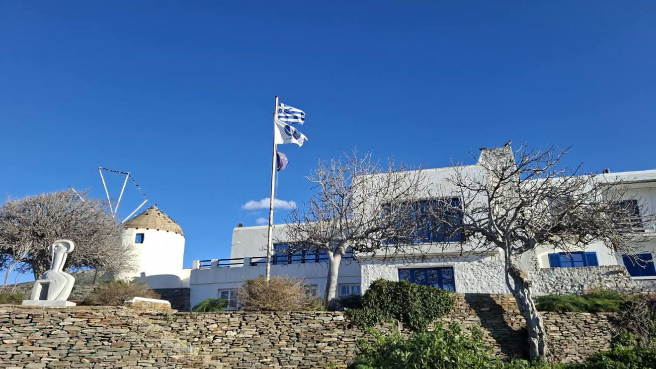 Δήμος Πάρου: Ανοικτός διαγωνισμός για την παροχή κτηνιατρικών υπηρεσιών σε αδέσποτα ζώα