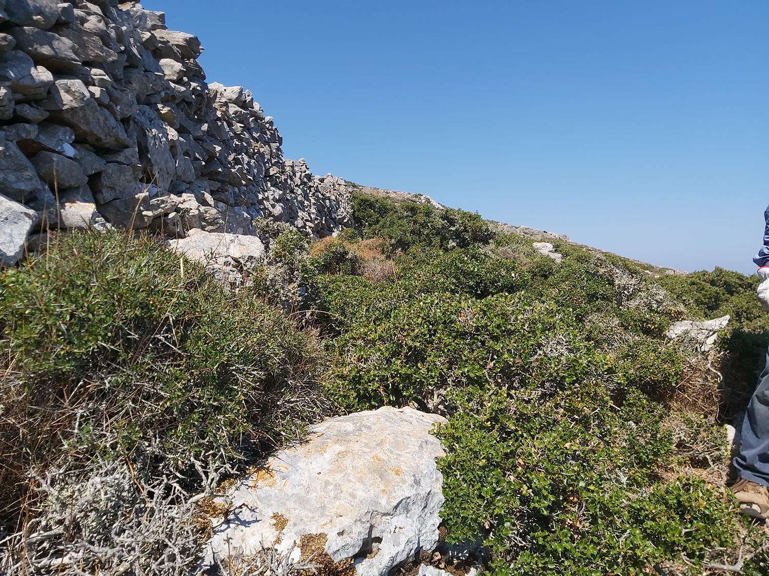 Έκτακτη ανακοίνωση Δήμου Αμοργού: Πολύ υψηλός κίνδυνος πυρκαγιάς (Κατηγορία 4) την Πέμπτη 27 Αυγούστου