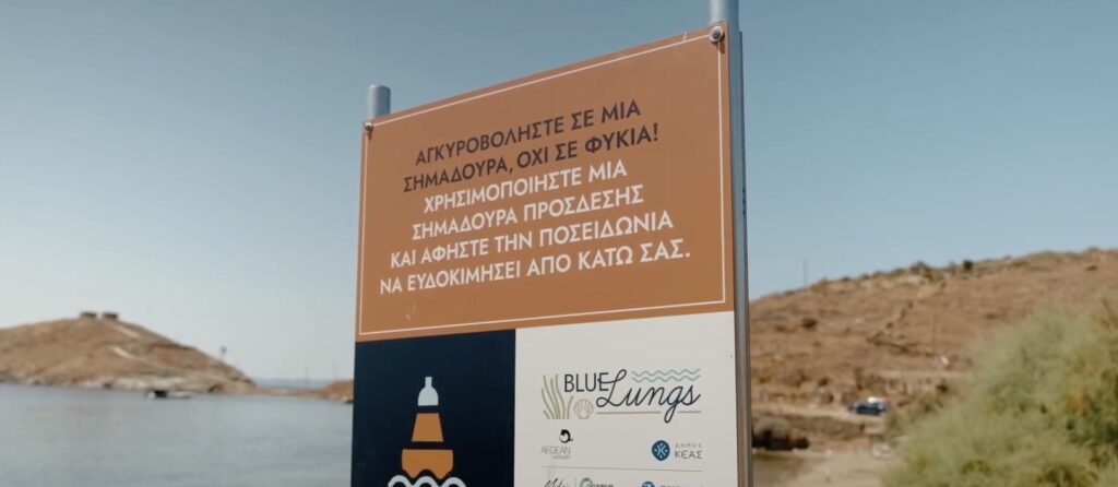 Σε εξέλιξη η δράση «Blue Lungs» για την προστασία της Ποσειδωνίας στην Κέα